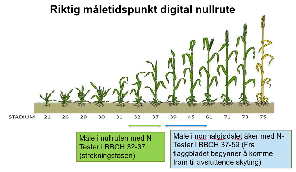 m&aring;letidspunkt