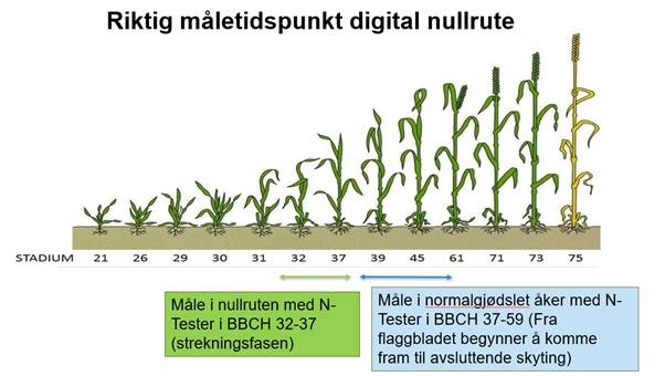 nullrute måletidspunkt