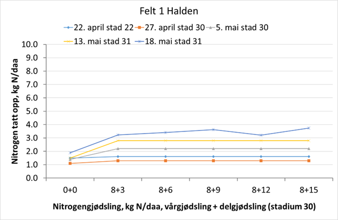 Halden