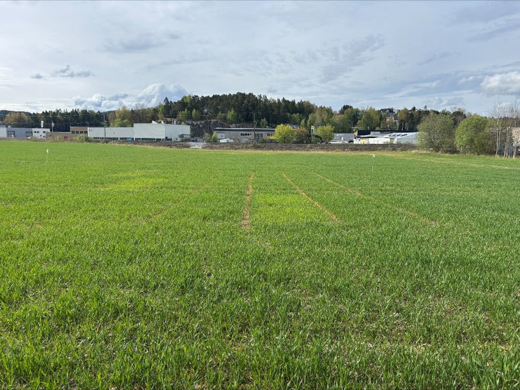 &Oslash;stfold