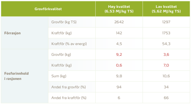 TABELL 1: Okser som fôres frem til 300 kg slaktevekt i løpet av 16 måneder,  med henholdsvis høy og lav kvalitet på grovfôret.