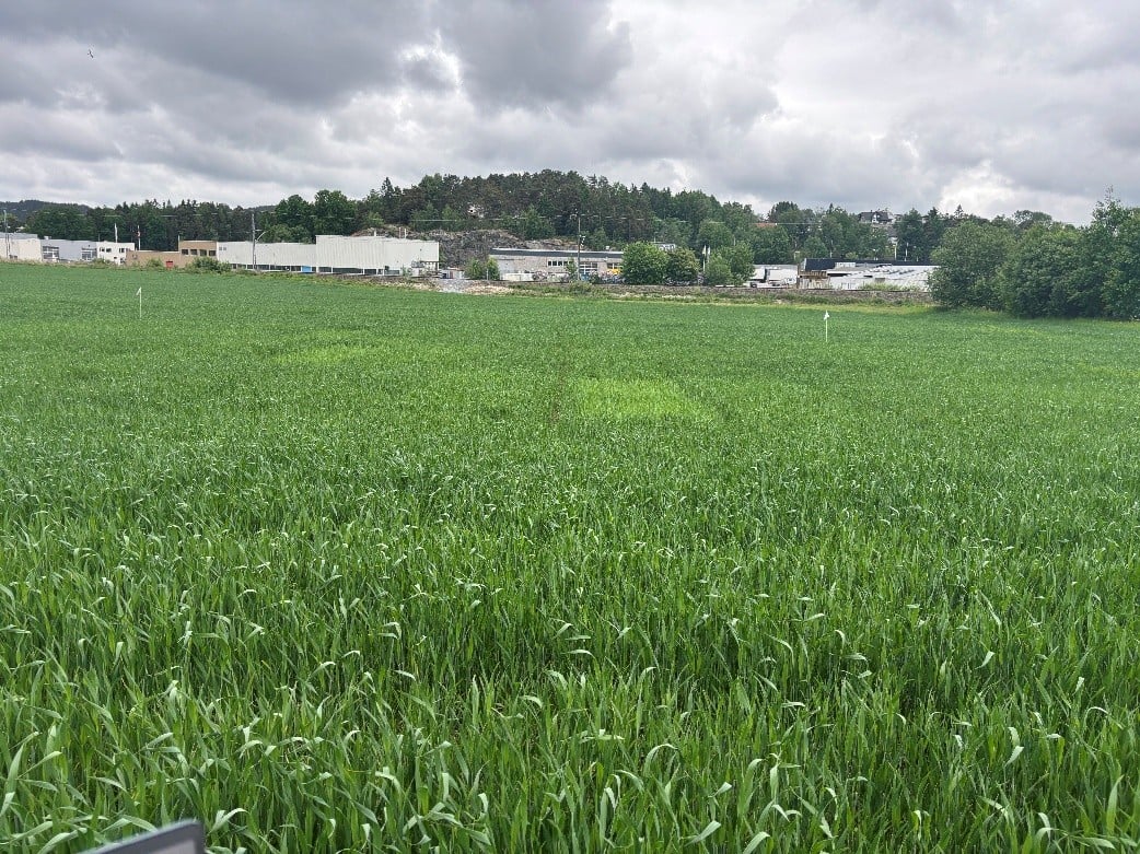 &oslash;stfold