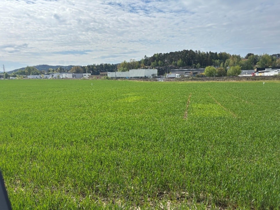 halden