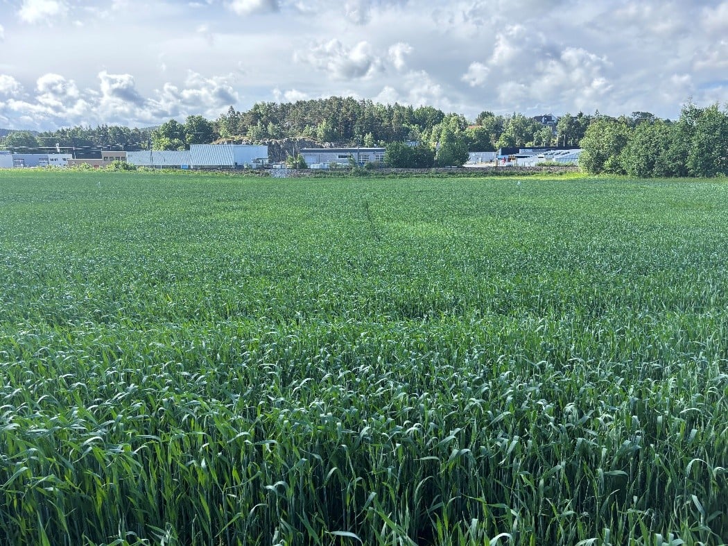 &oslash;stfold