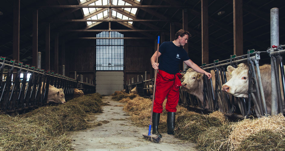 Isak Støre jobber på familiegård