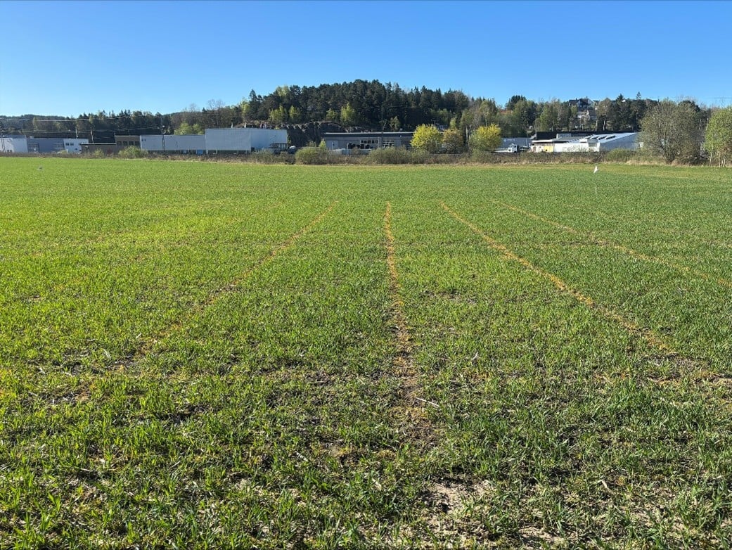 &oslash;stfold