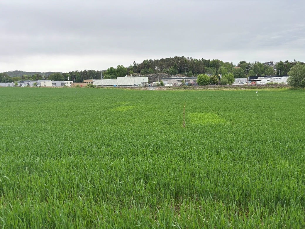 &oslash;stfold